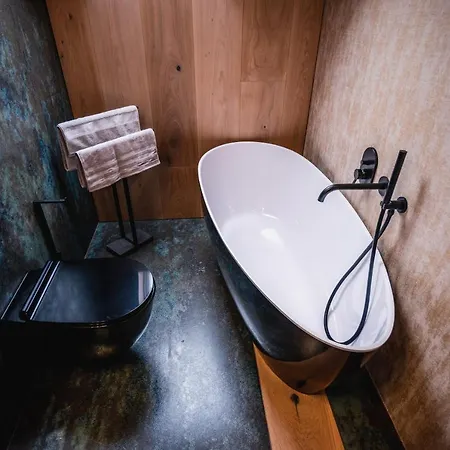 Vip Zakopane Villa *