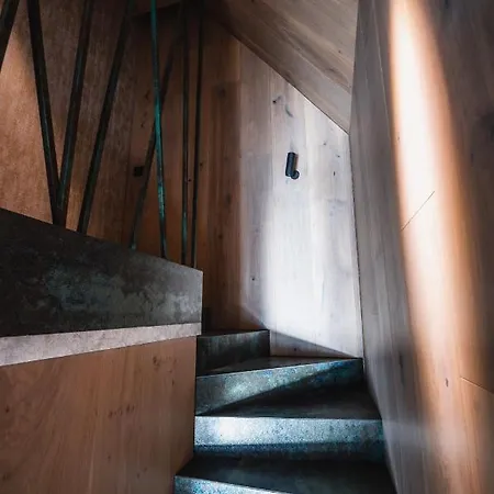 Vip Zakopane Вилла Косцелиско