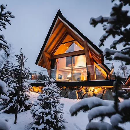 빌라 Vip Zakopane 코스실리스코