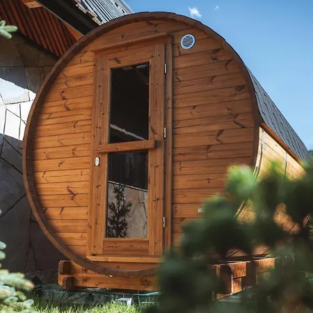 Vip Zakopane Вилла Косцелиско